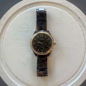 Fossil tortoise shell watch